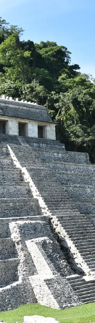 Im Dschungel von Palenque